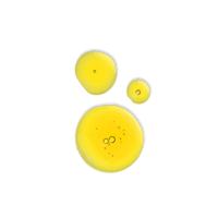 Evolve Bio-Retinol + C Booster