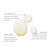 Evolve Daily Defense Moisture Mist