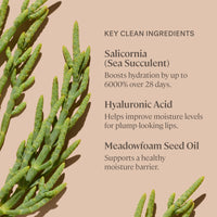 ILIA Óleo de Lábios Balmy Gloss Tinted Lip Oil