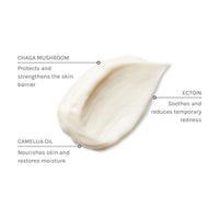 Evolve Pro+ Ectoin Soothing Cream