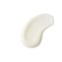 Evolve Superfood Shine Conditioner